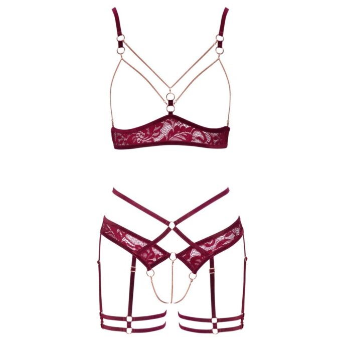 Abierta Fina Open Red Lace Set - Image 4