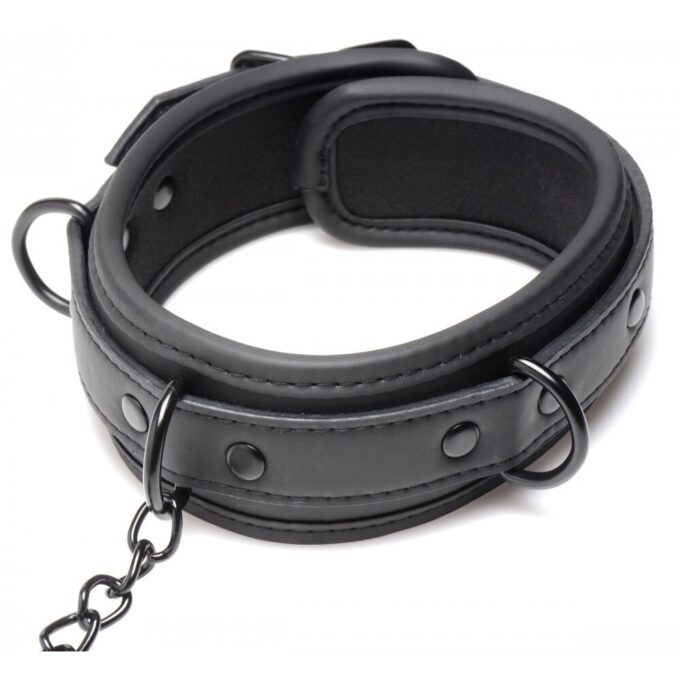 Master Series Collared Temptress - Image 4