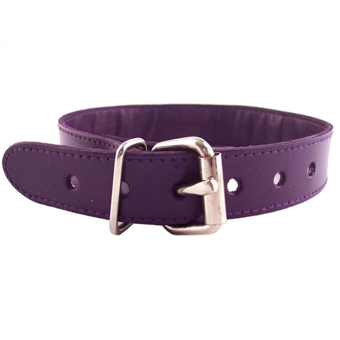 Rouge Garments Purple Studded ORing Studded Collar - Image 2