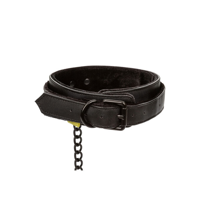 Boundless Collar and Leash - Image 2