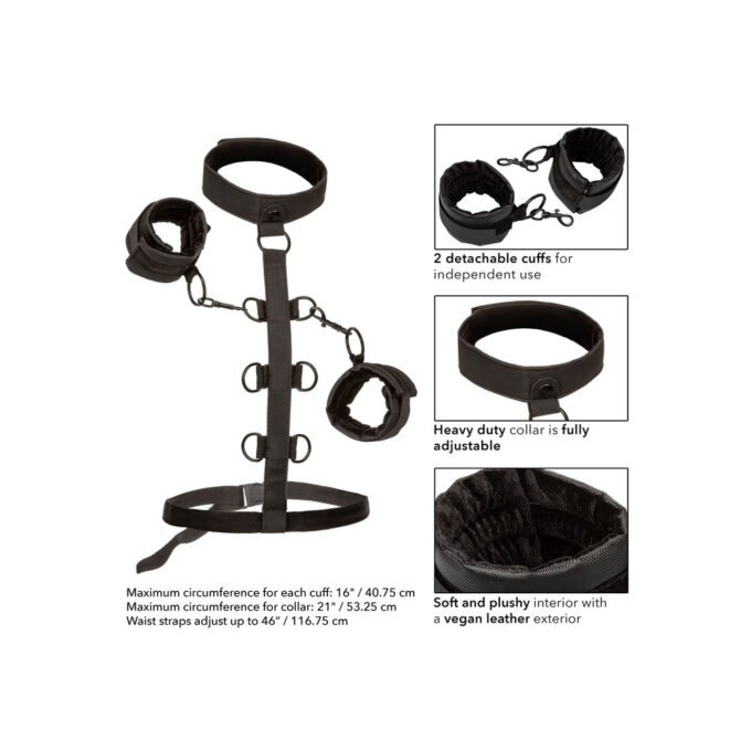 Boundless Collar Body Restraint - Image 3